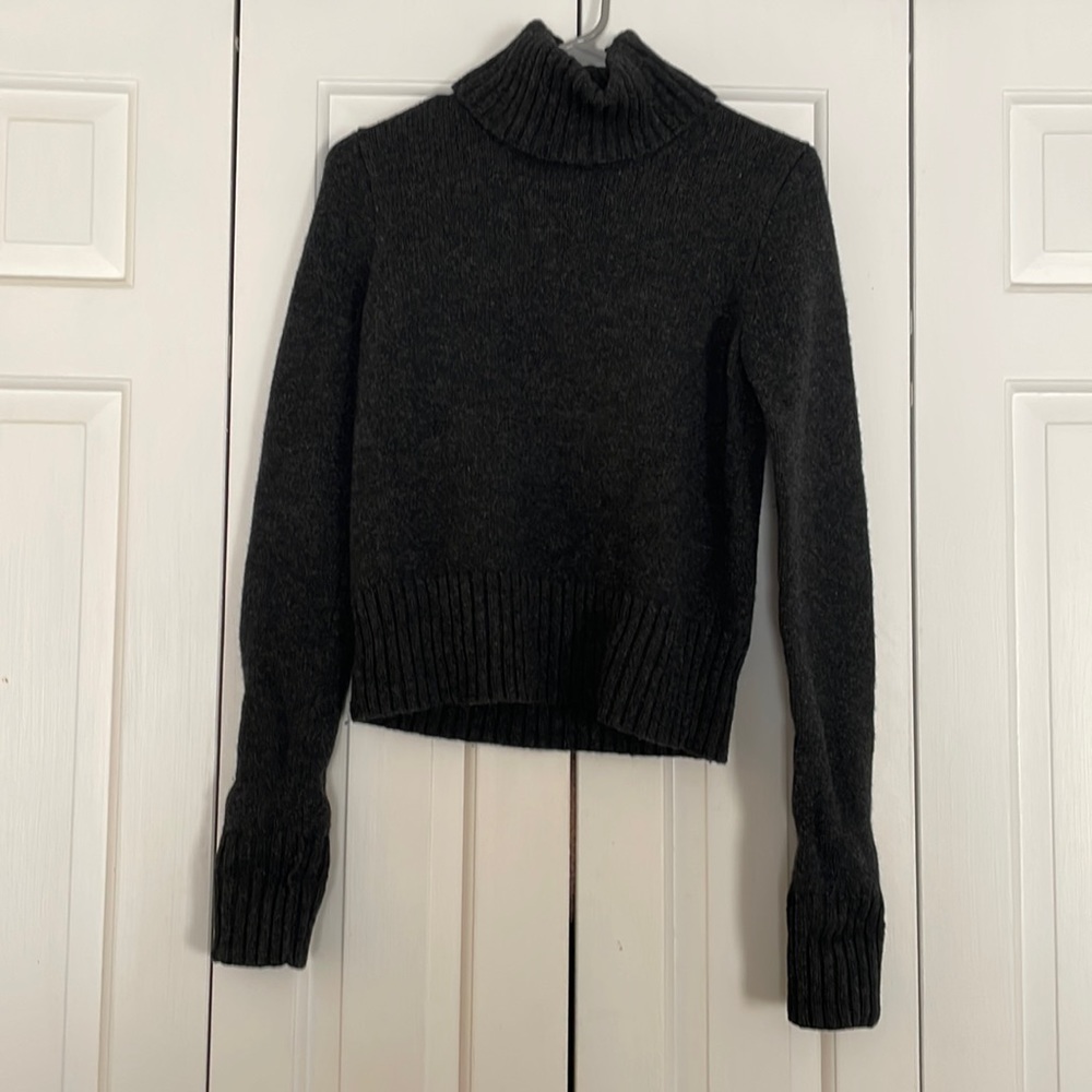 J Crew turtleneck sweater